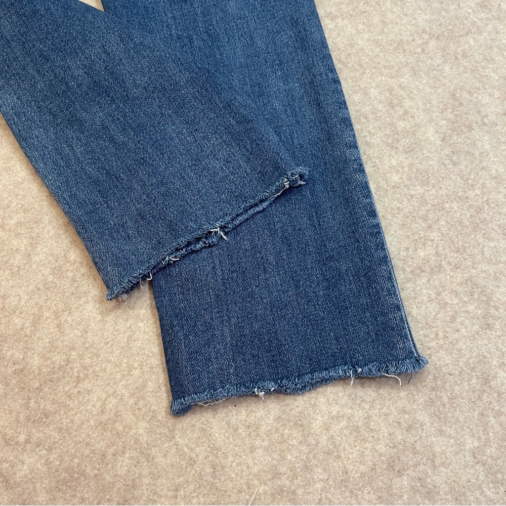 Flying Monkey - Picture 10 of 13